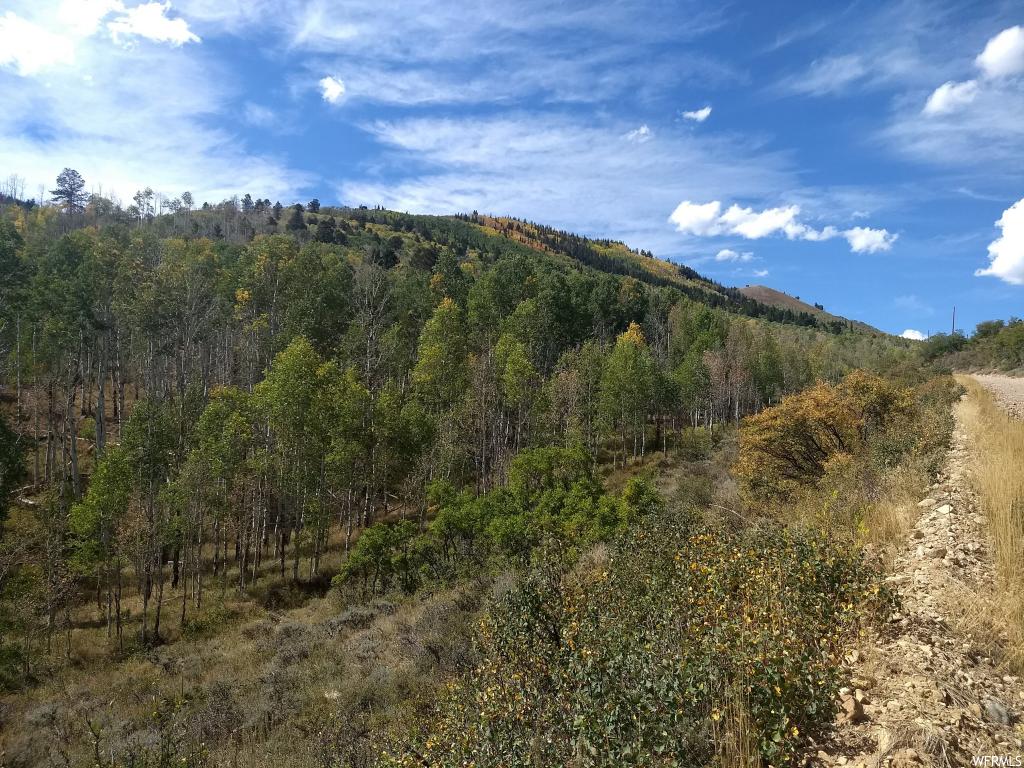 #4, Tabiona, UT 84072