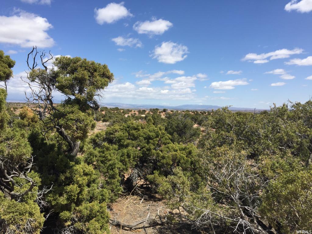 #14B, Roosevelt, UT 84066