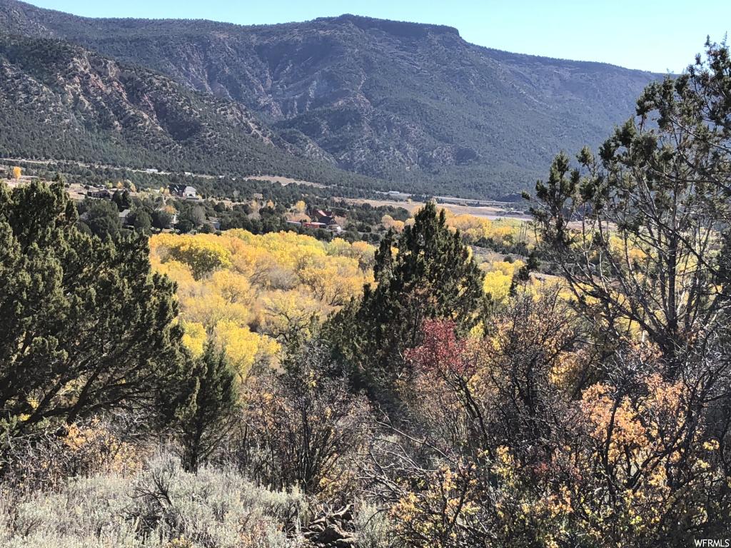Juniper Way #237, New Harmony, UT 84757