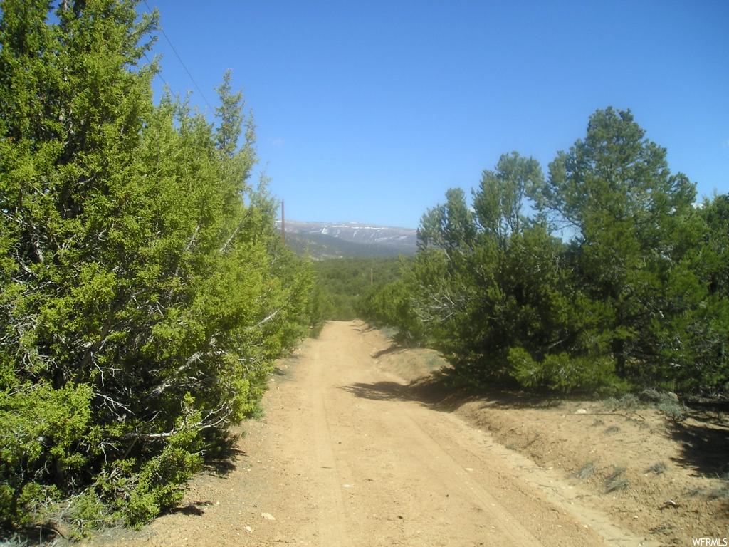 Tabiona, UT 84072