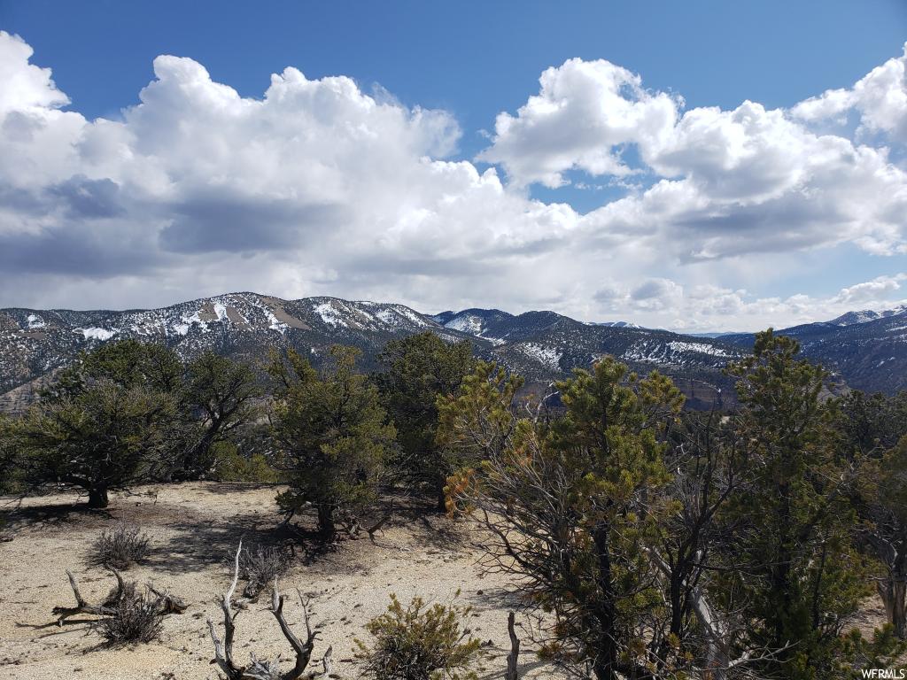 #51, Fruitland, UT 84027