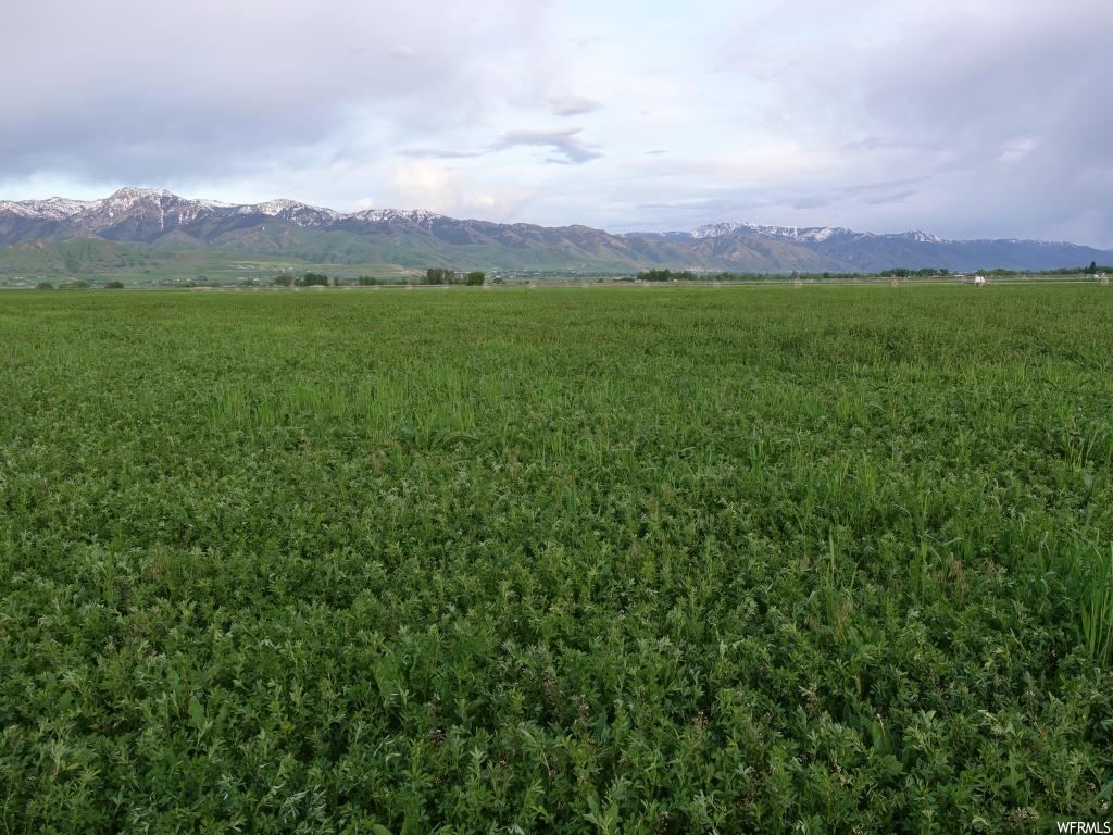 8480 N 2300 W, Amalga, UT 84335
