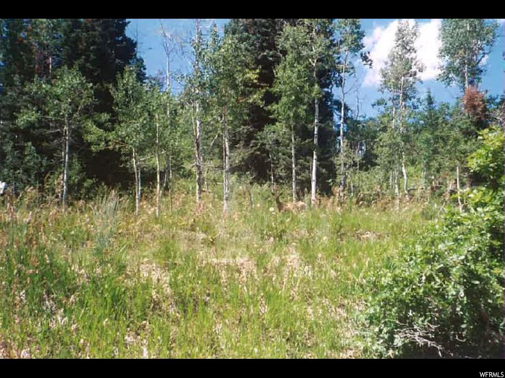 1171 Oak Rd, Wanship, UT 84017