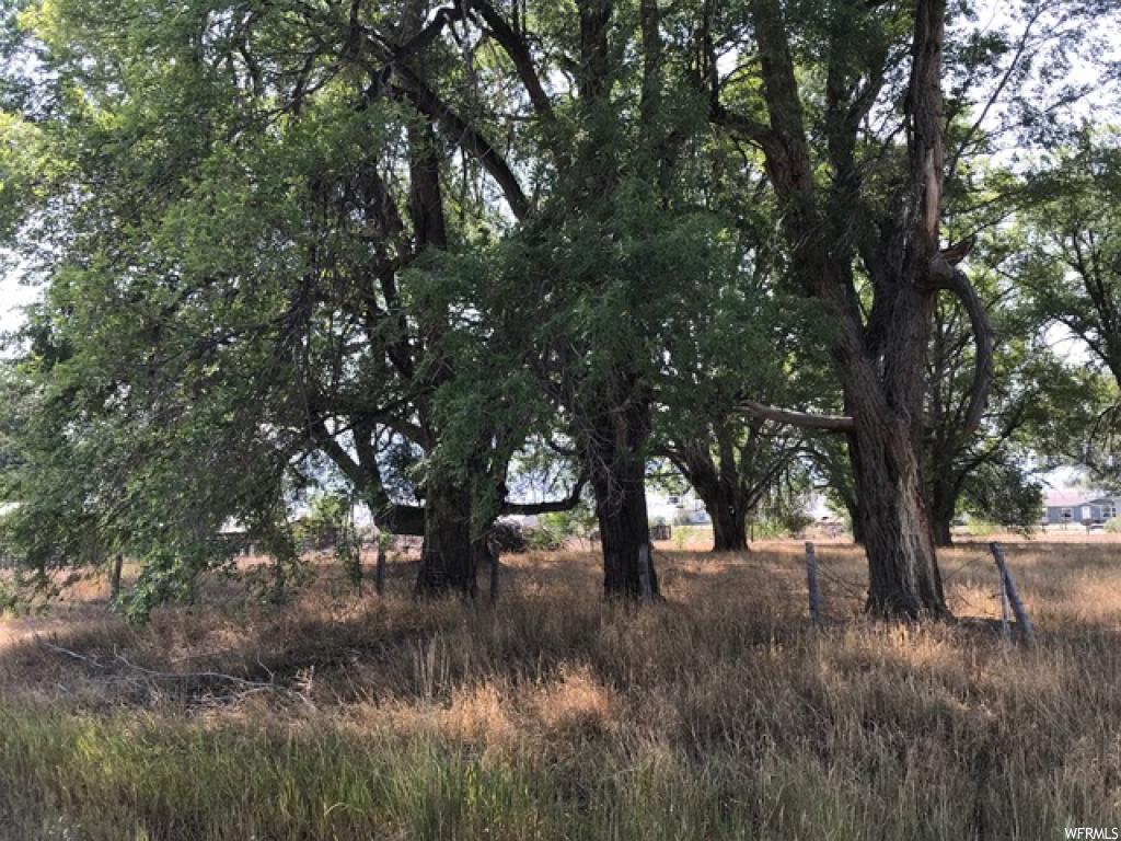 4000 13921 N E Chester, Utah EG 28 RDS S NW COR NW 1/4 SEC 35-15-3E THENCE EAST 15 RDS, S 14 RDS, W 15 RDS, N 14 RDS TO BEG. LESS.26 AC IN COUNTY RD Driving Dir: Call agent for directions or Google: 39.4744774,-111.5621575 Remarks: Beautiful one-acre building lot with producing well and water right available for purchase. Gorgeous views, mature trees, on level parcel in quiet country setting. Horse property, just minutes from Snow college. Great working water well. Travel times: 30 min to Nephi & I-15, 60 min to Provo,1 hour & 45 min to SL International airport, close to National Forest & Rec Area.