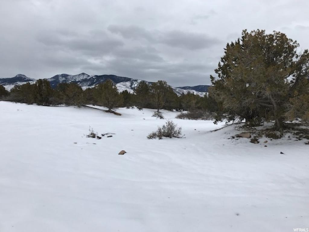 Fillmore, UT 84631