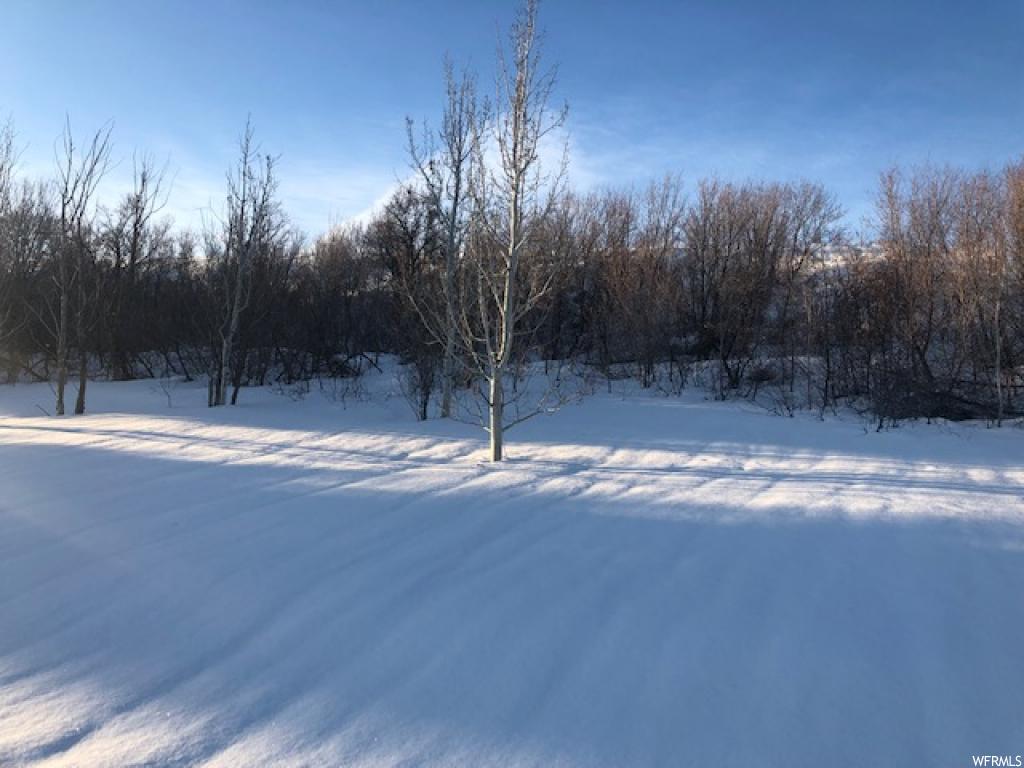 #3, Malad City, ID 83252