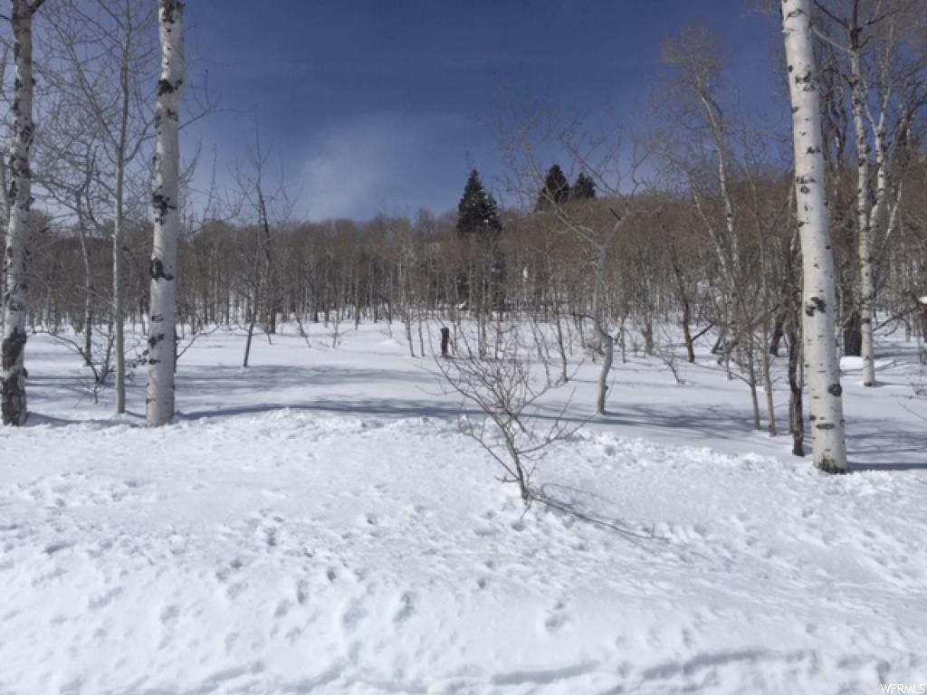 2648 S Forest Dr #FM-C, Wanship, UT 84017