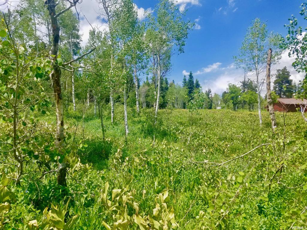 1267 Maple Pl #I-15, Wanship, UT 84017