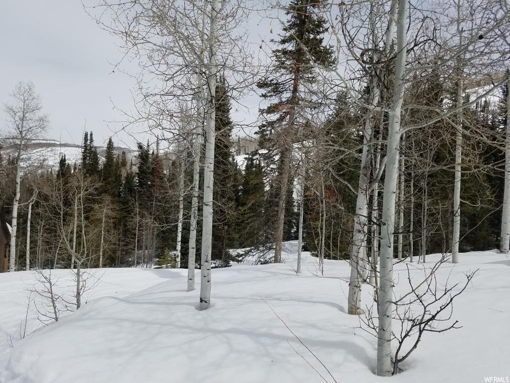 738 Shingle Mill Rd #738, Oakley, UT 84055