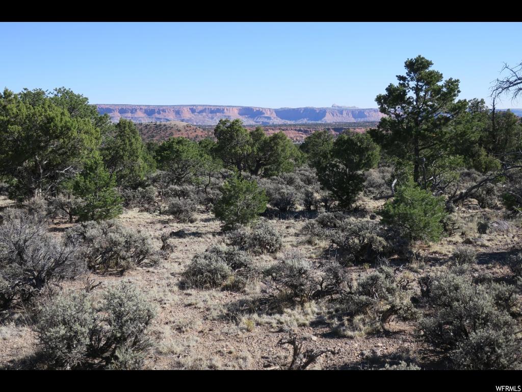 1650 S Donkey Flats Rd E, Teasdale, UT 84773