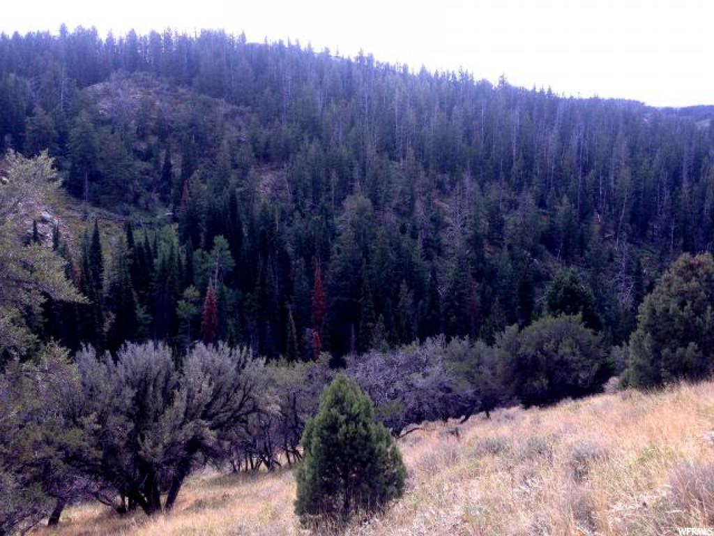 6 Sawtooth Mts, Park Valley, UT 84329