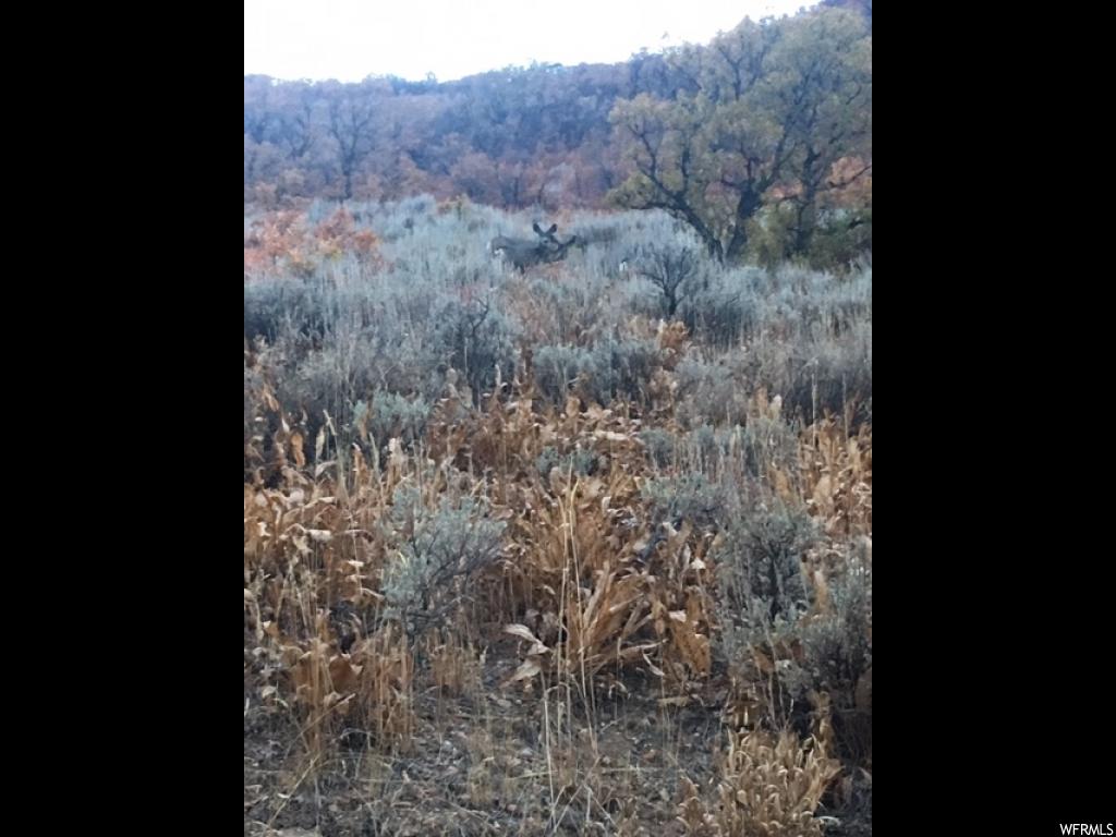 #116, Huntsville, UT 84317