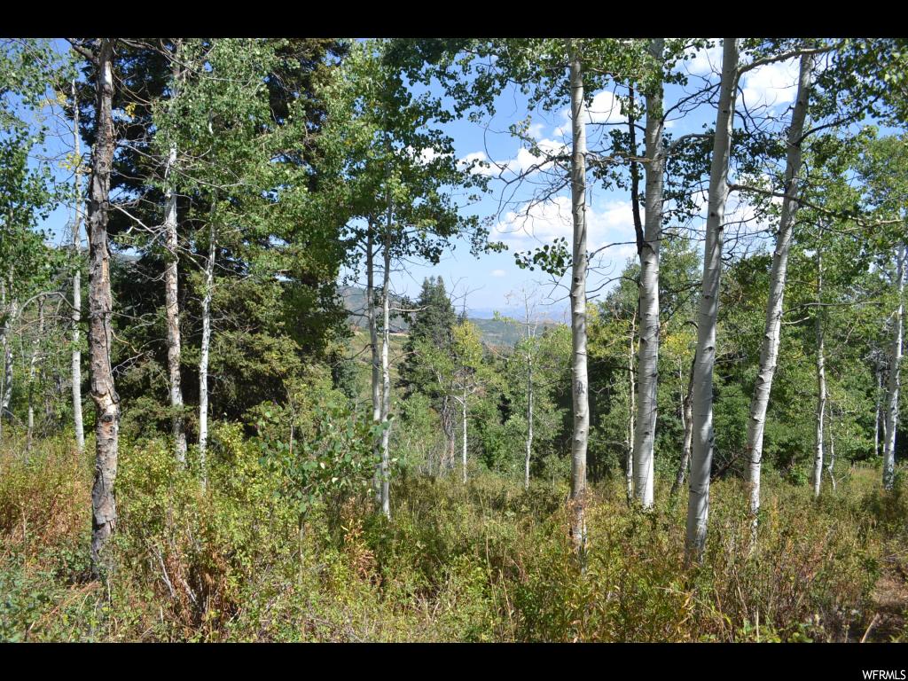 2278 Forest Meadow Rd #116, Wanship, UT 84017