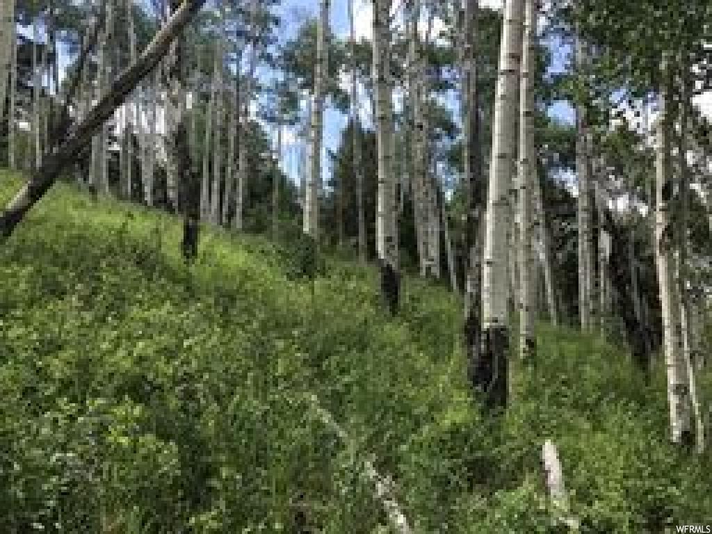 Tabiona, UT 84072