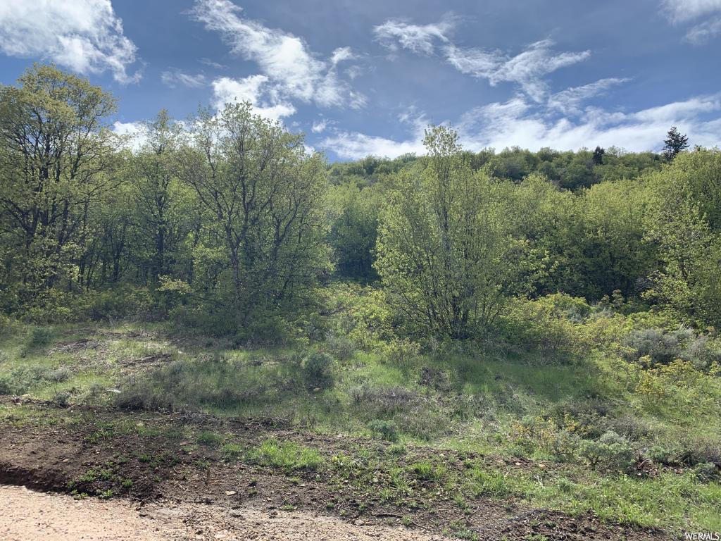 1325 Sculpin Loop #E104, Garden City, UT 84028