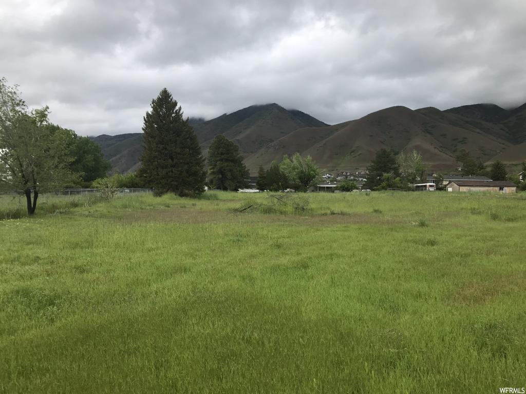 1021 E 1400 N #1, Mapleton, UT 84664