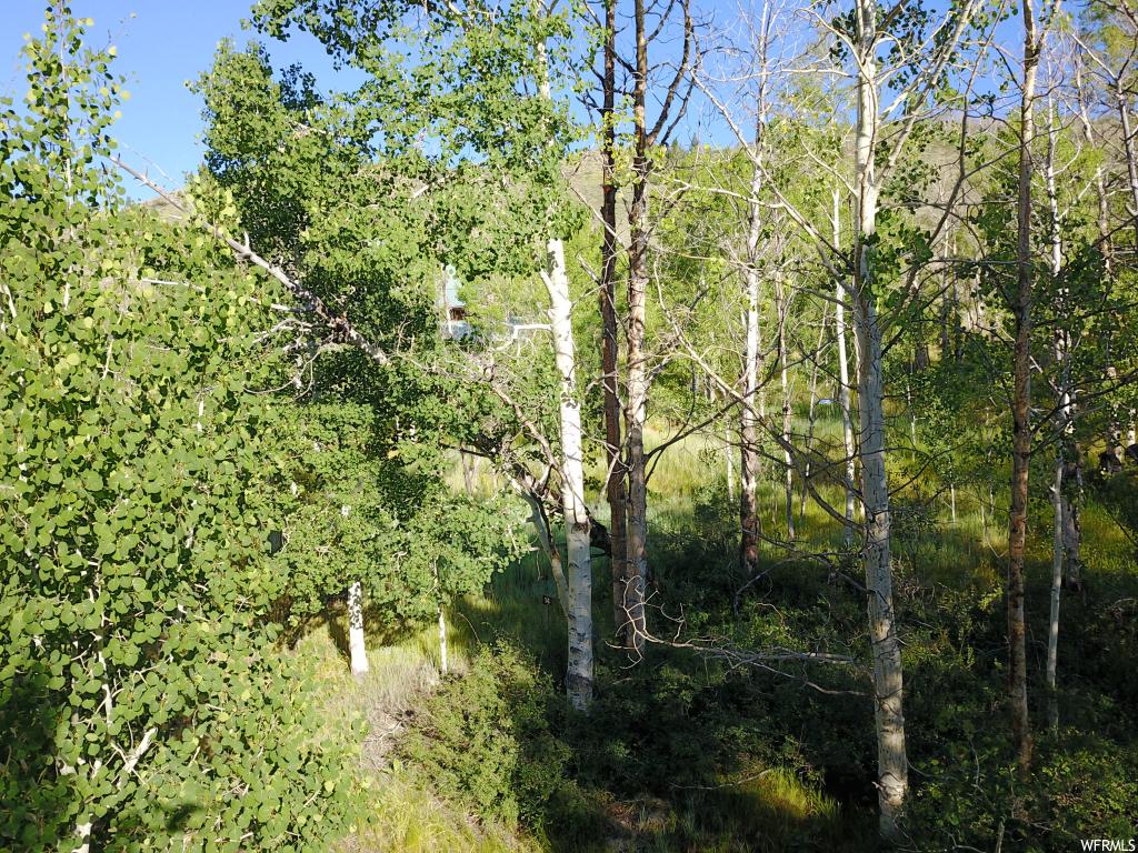 #19, Scofield, UT 84526