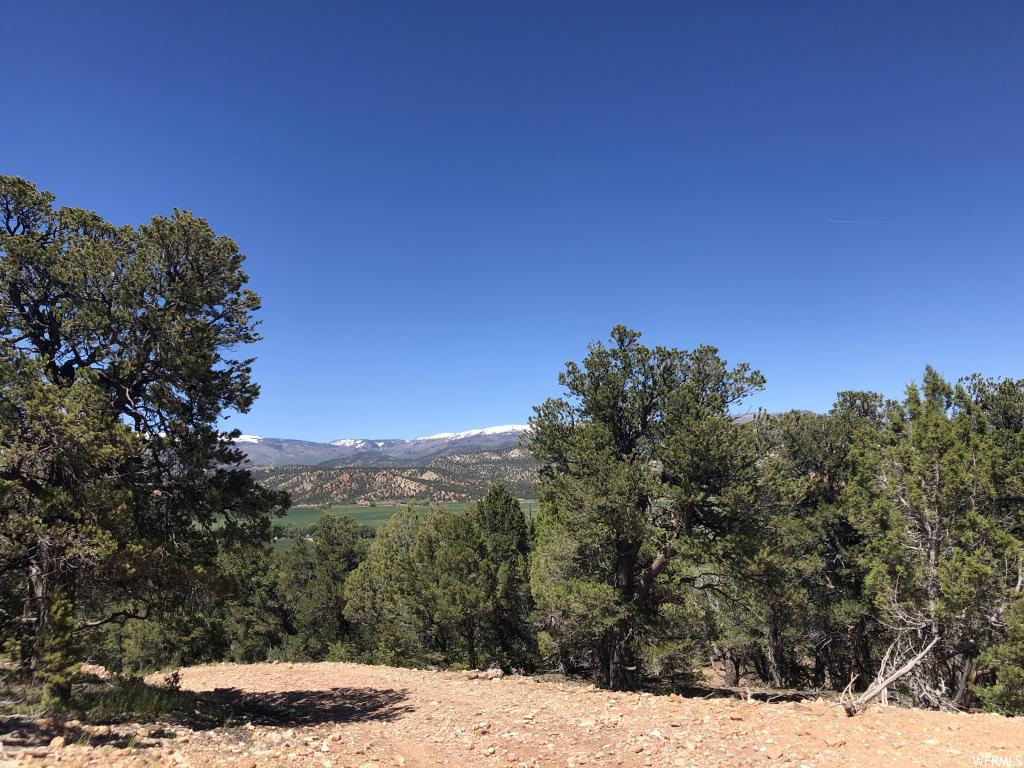 Tabiona, UT 84072