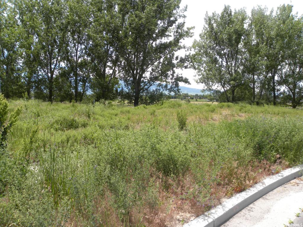 589 N 470 E #6, Providence, UT 84332