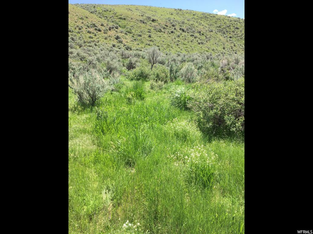 Dingle, ID 83233