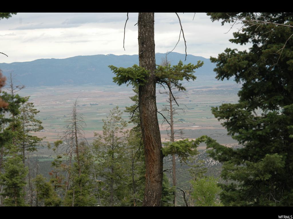 #50, Mt Pleasant, UT 84647