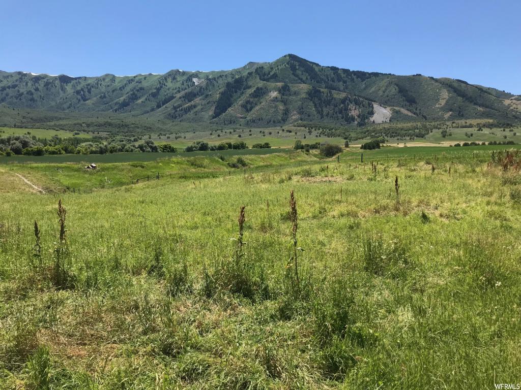 Mendon, UT 84325