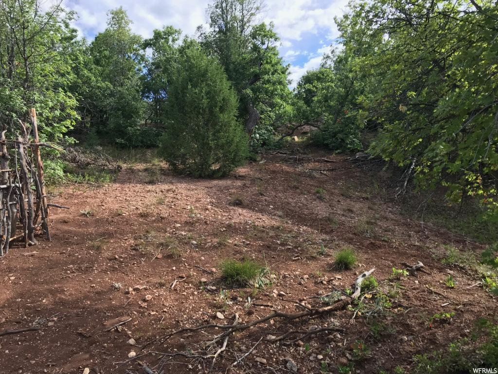 #47, Fairview, UT 84629