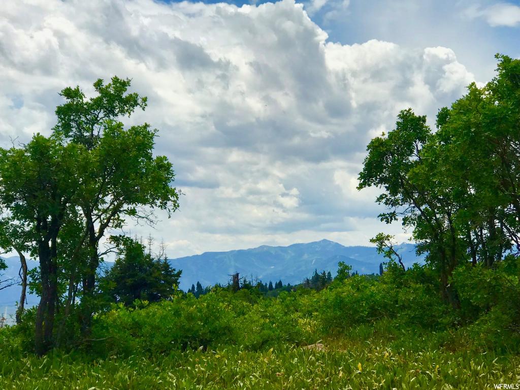 2393 Pine Meadow Dr #C-59, Wanship, UT 84017