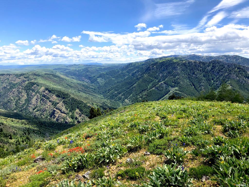 #37, Paradise, UT 84328
