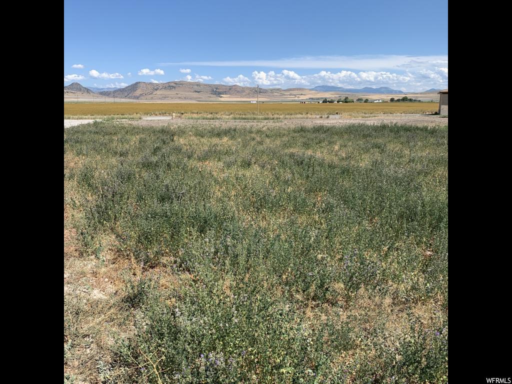 17535 N 4400 W, Fielding, UT 84311