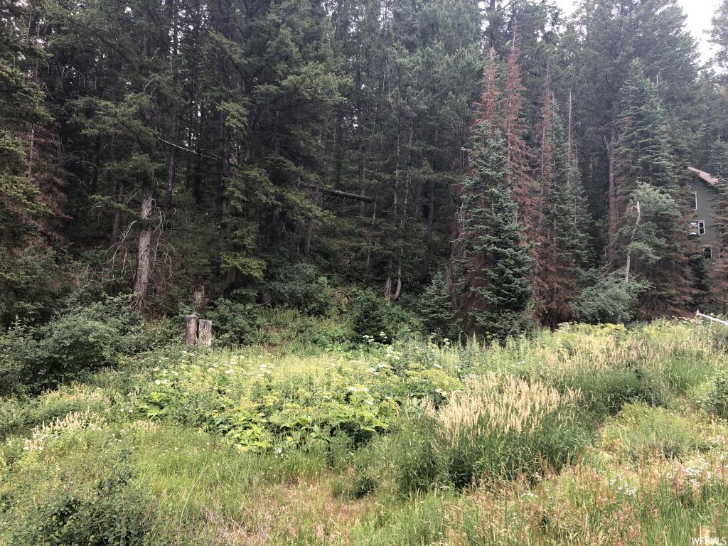 7044 N Pinebrook Rd, Park City, UT 84098