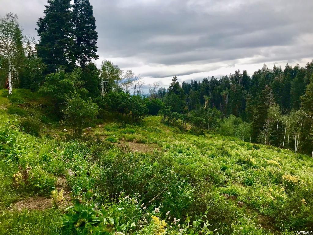 2211 Pine Loop Rd #64, Wanship, UT 84017