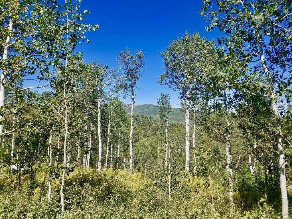 2311 Uintah View Dr #E-59, Wanship, UT 84017
