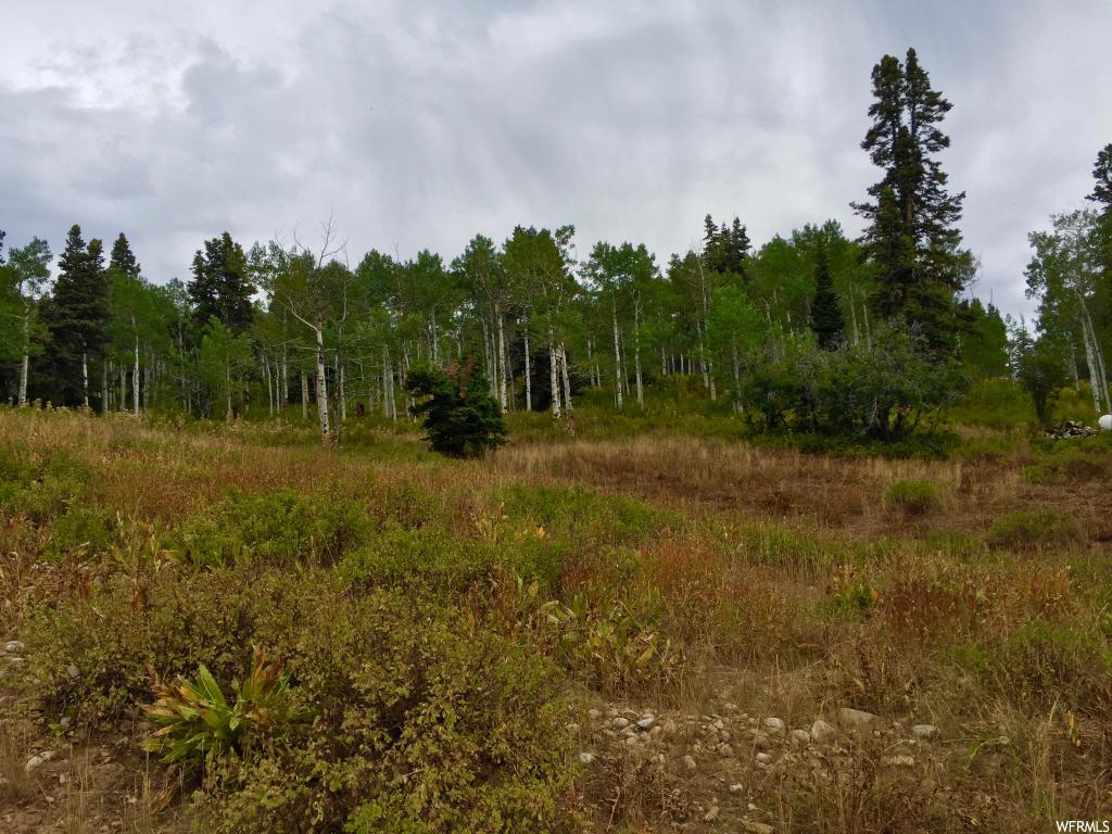 1833 Pine Loop Rd #F-39, Wanship, UT 84017