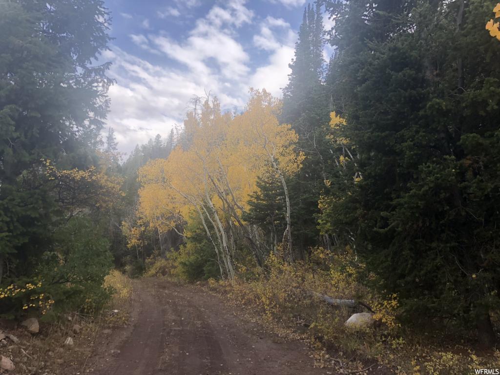 #35, Tabiona, UT 84072
