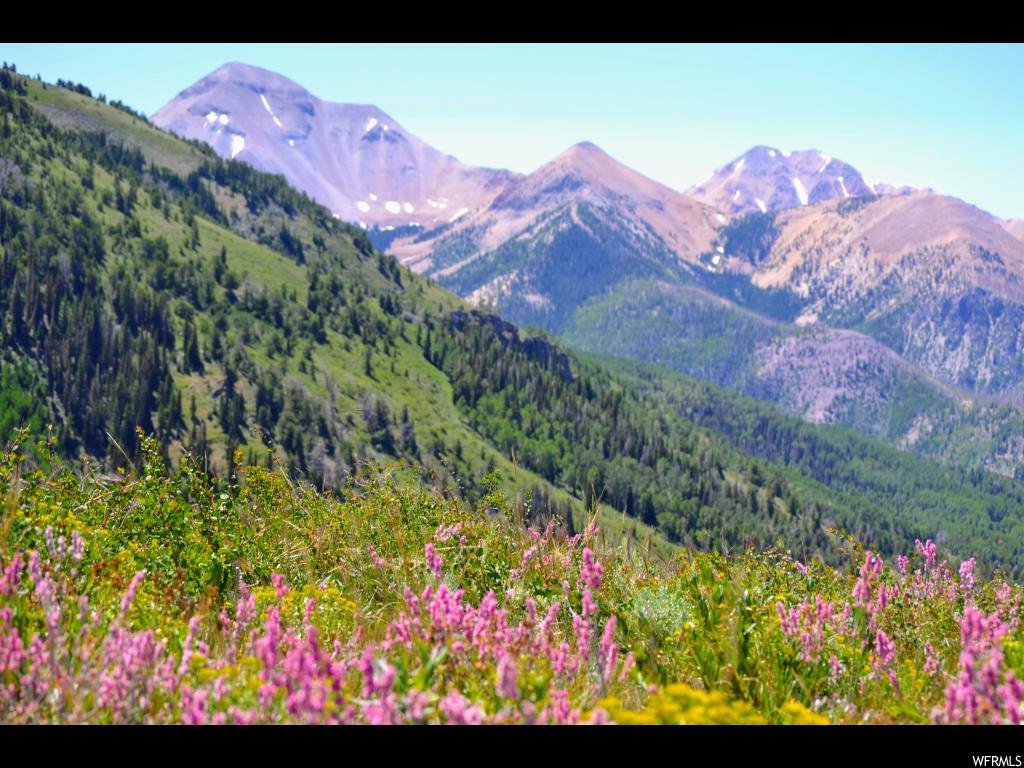Kimberly Rd, Junction, UT 84740