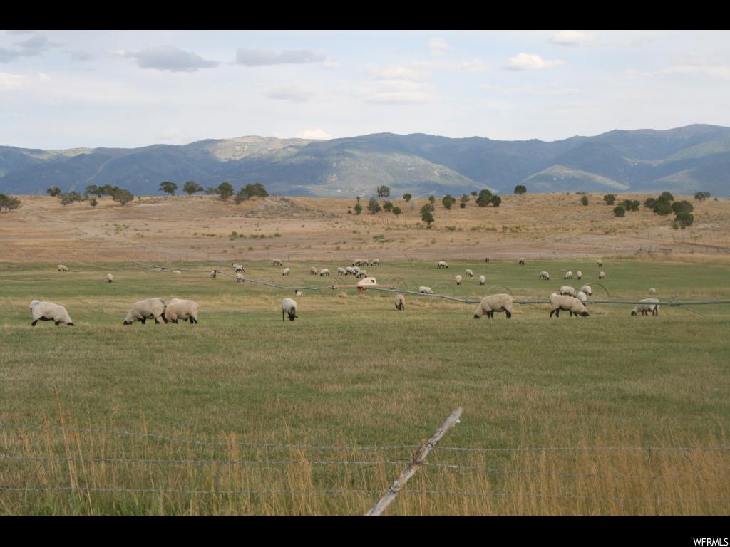 18200 4450 E N Moroni, Utah Come build your dream home, bring your horses and have a small ranch in the country but be within 45 minutes to Utah County! This property has 12 1/2 shares of pressurized irrigation (M&M Irrigation) and includes a Wade Rain Wheel line. It currently is used to produce hay and pasturing sheep. It produces approximately 70 ton of hay and provides great pasture. Address is approximate, contact agent for directions. Buyer and buyer's agent are to verify all information.