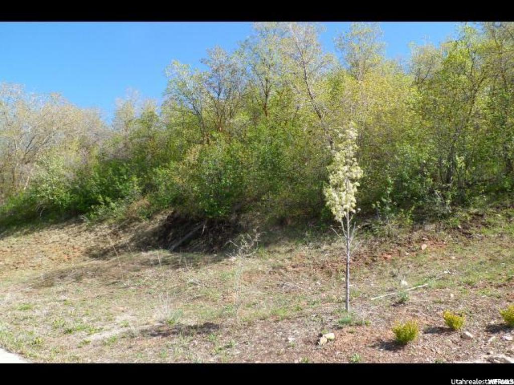 3893 S Mountain Oaks E #310, Bountiful, UT 84010
