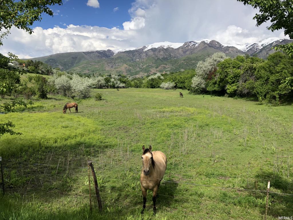 1838 E Gentile, Layton, UT 84041