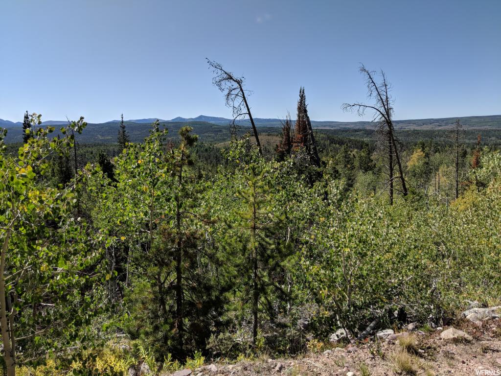 5534 Pine Ridge Rd #1002, Kamas, UT 84036