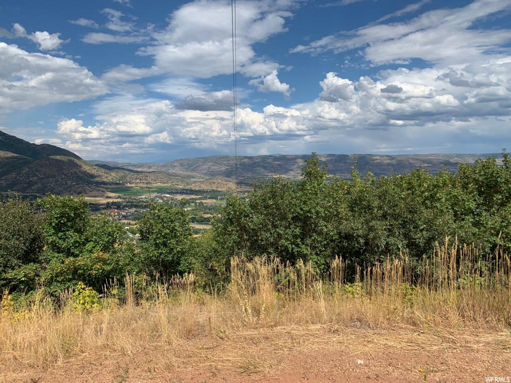 4070 Switzer Dr, Midway, UT 84049