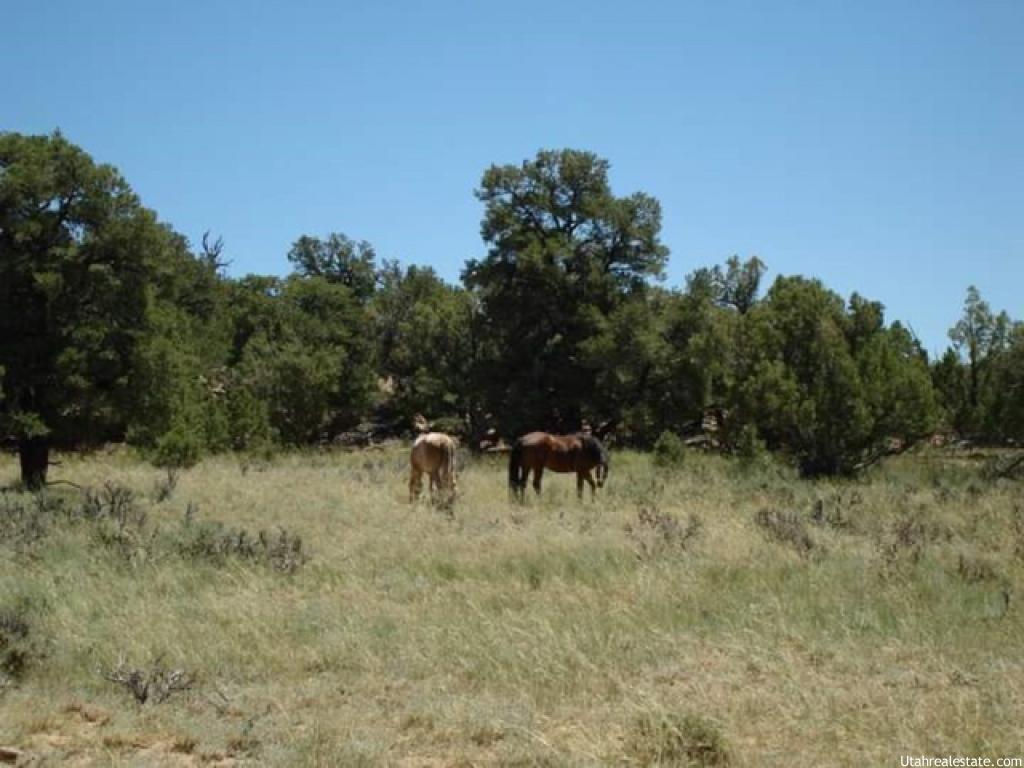 #817, Fruitland, UT 84027