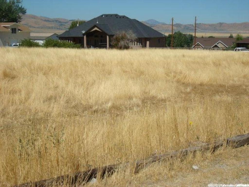 350 E 150 N, Mona, UT 84645