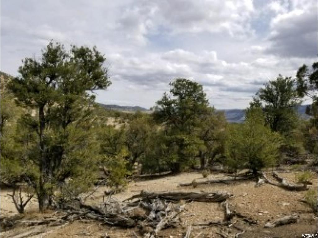 #14, Fruitland, UT 84027