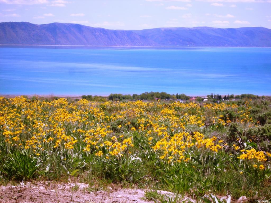 2 Summit Cir #1, Fish Haven, ID 83287