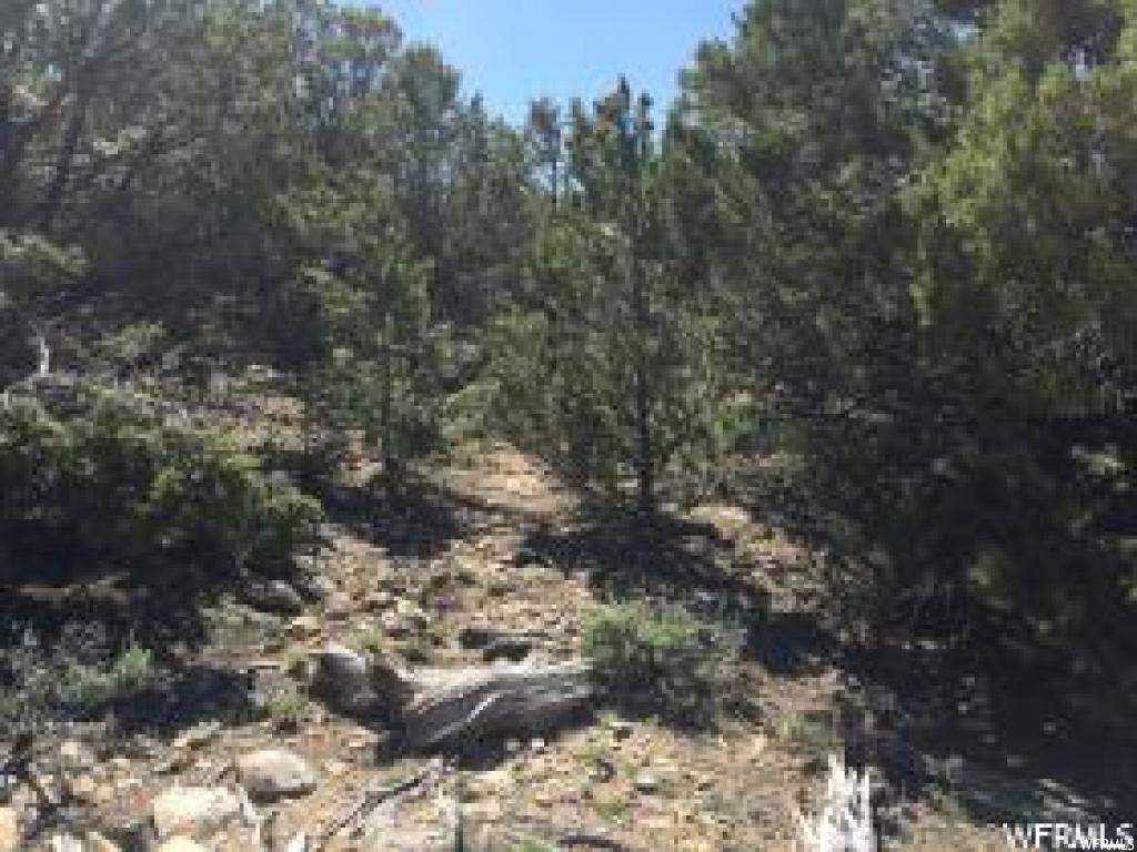 #6, Fruitland, UT 84027
