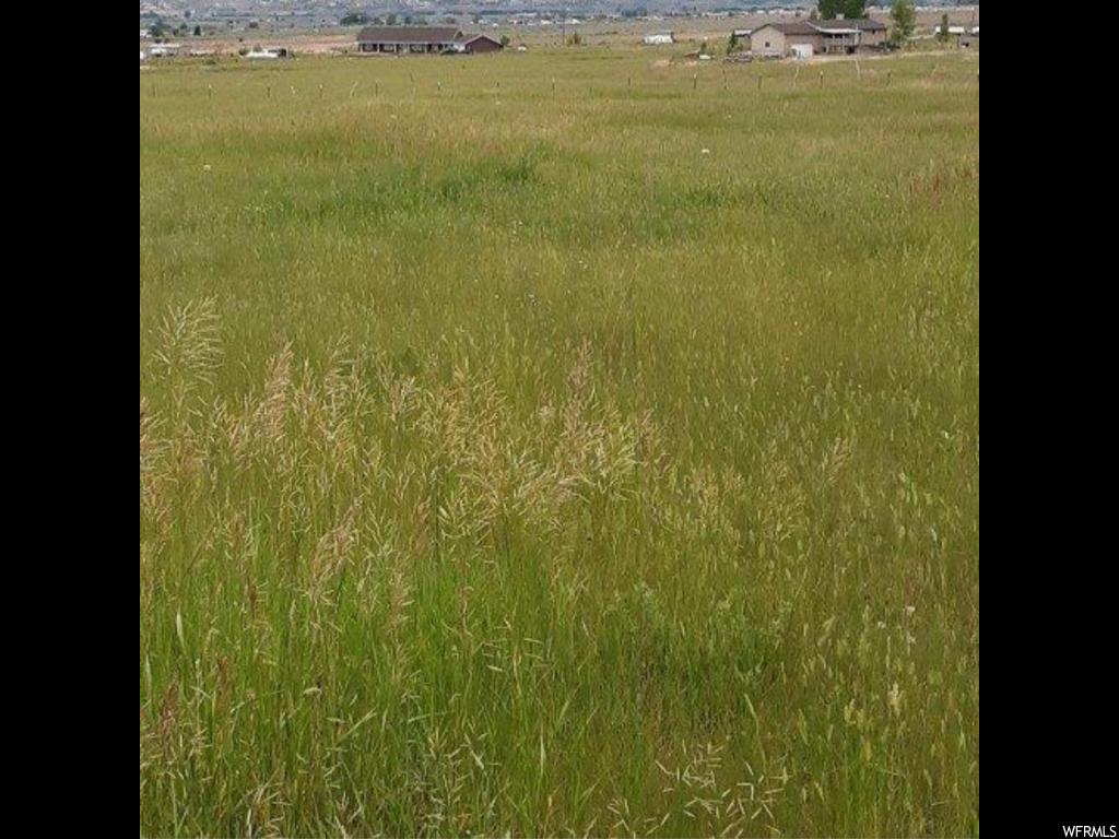 8650 14500 N E Spring City, Utah ~~~see also MLS#1629268 for home and 5.50 acres, as well as MLS#1630346 for 5.65 acres~~~Enjoy country living at its best located just outside of historic Spring City, within City buffer zone (zoning 1 acre optional; plenty of frontage with 340' along quiet country maintained road. Livestock property with amazing and majestic views of Horseshoe Mountain and Sanpete Valley. Property located within Sanpete County; pressurized irrigation available; city water connection or individual well options are available for development. Property is frequented by wildlife such a deer, elk, and wintering eagles. Square footage figures are provided as a courtesy estimate only and were obtained from Sanpete . Buyer is advised to obtain an independent measurement. Seller will be reserving a right of way for an easement for ingress and egress along the East side of property to enable access to the 9.02 acres directly to the South of subject property should this parcel be purchased without additional 9.02 acres. Buyer and buyers agent to verify all information. Seller has 14 total shares of irrigation available according to the acreage purchased. ALL OIL, GAS, MINERAL, ETC. RIGHTS ARE EXCLUDED FROM TRANSACTION. ****ADDITIONAL LAND IS AVAILABLE---SEE MAPS SCANNED IN WITH PICS AT AN ADDITIONAL COST***
