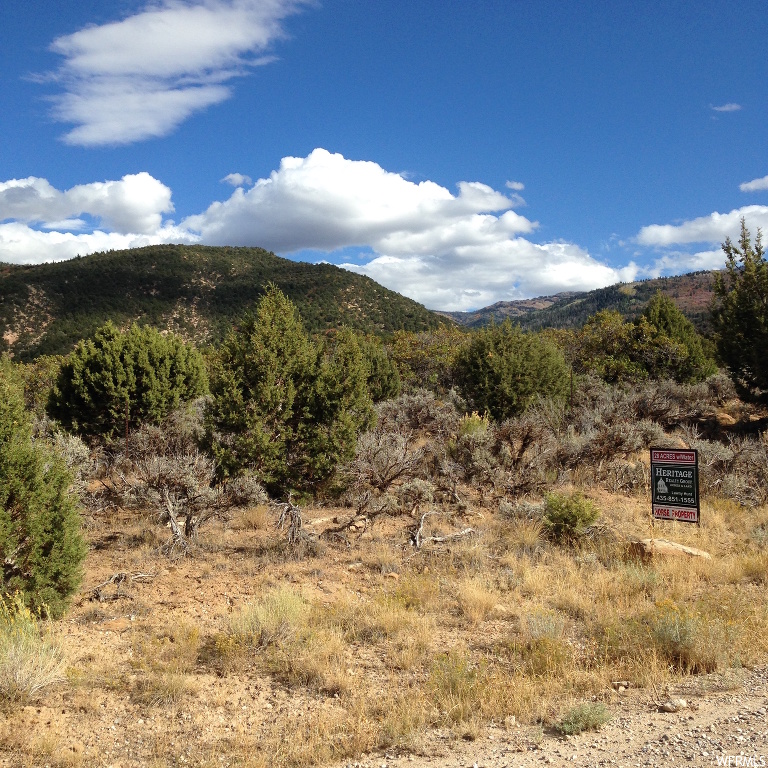 Advanced Search Rocky Mountain Horse Property