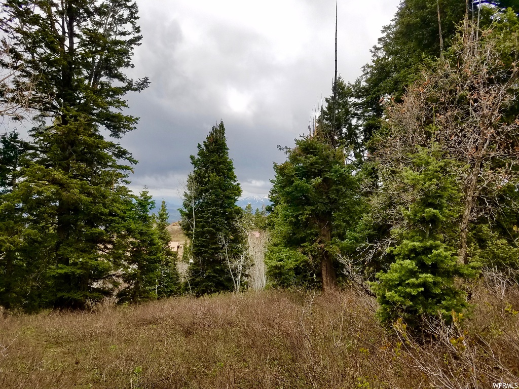 1625 Heather Ln #E-81, Wanship, UT 84017