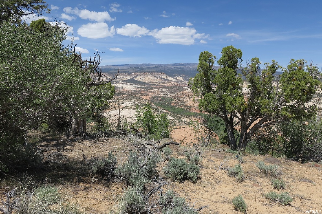 2233 E Long Neck Dr E #4, Boulder, UT 84716